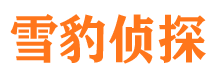 江华捉小三公司